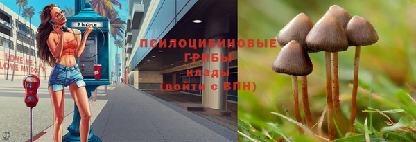 герыч Алексин