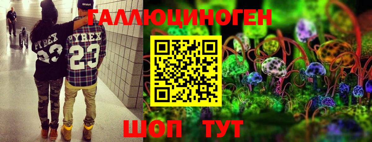 Псилоцибиновые грибы Cubensis Уфа